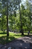 09.06.2012 Новомосковск. Аллея Памяти
